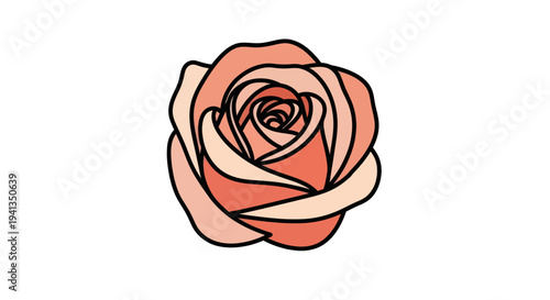Photography Beautiful Pink Rose Illustration Design Element.