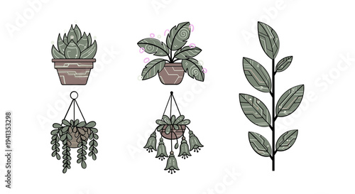 Potted plants and hanging greenery indoors.