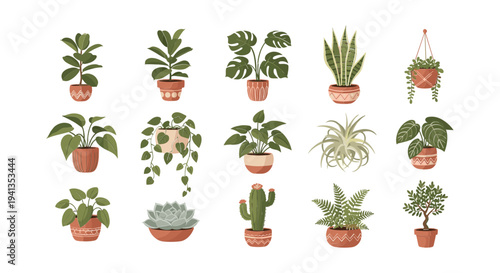 Variety of Potted Houseplants and Succulents.