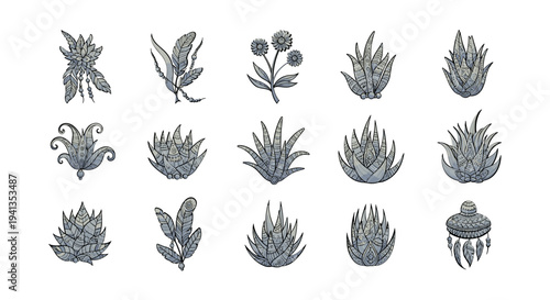 Variety of succulent plant species.