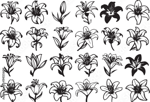 Collection of lily flower illustrations, including buds and full blooms, on transparent background