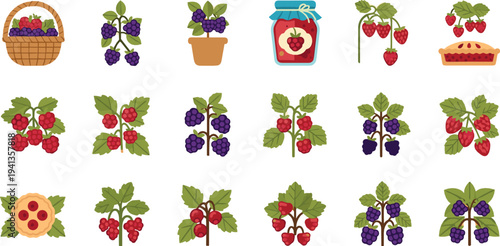 Berry fruits vector set with strawberries, blackberries, jam jar, pie and basket, fresh garden berries cartoon illustration collection for food design