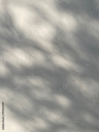 Leaves shadow on wall texture background

