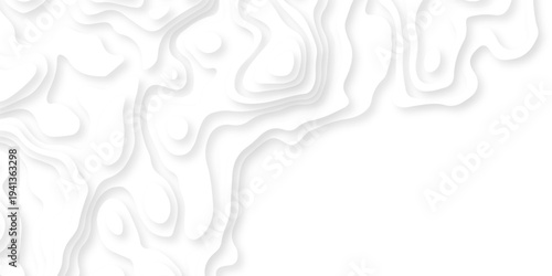 Abstract background vector Abstract wavy line 3d paper cut white background. Abstract pattern with lines. Abstract sea map geographic contour map and topographic contours map background.