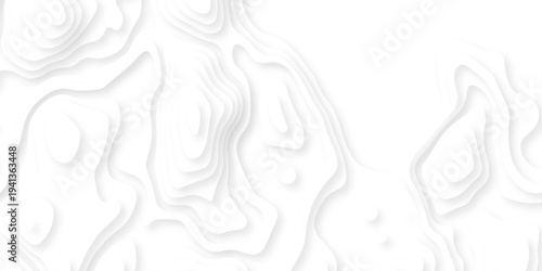 Abstract background vector Abstract wavy line 3d paper cut white background. Abstract pattern with lines. Abstract sea map geographic contour map and topographic contours map background.