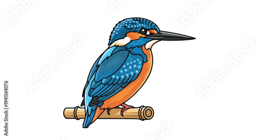 A colorful common kingfisher perched on a bamboo branch illustration