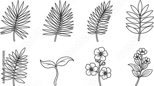Collection of hand-drawn botanical elements including leaves, sprouts, and flowers in a simple outline style
