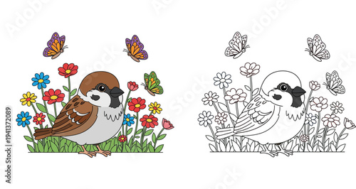 Cute cartoon sparrow bird in flower garden with butterflies, colored and outline black and white version. Vector illustration coloring book page for children.