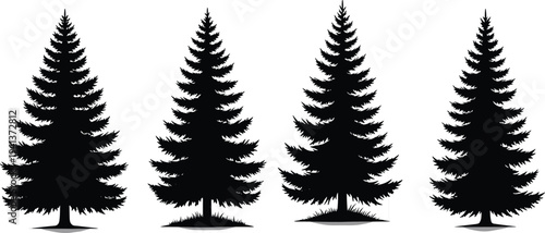 Set of black pine tree silhouettes with coniferous branches and forest spruce shadows isolated on white background for Christmas holiday nature design projects