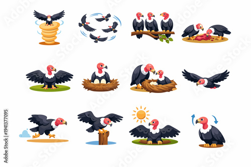 Vulture Behavior. Colorful flat vector icons set of vulture behavior: soaring thermals, group circling, communal roost, ground feeding, wing drying, nest