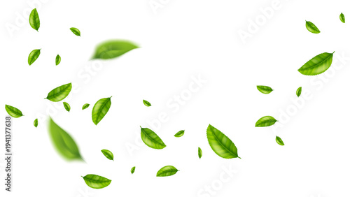 green leaf flying vector background