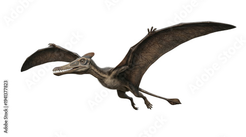 3d render of flying pterosaur isolated on transparent background