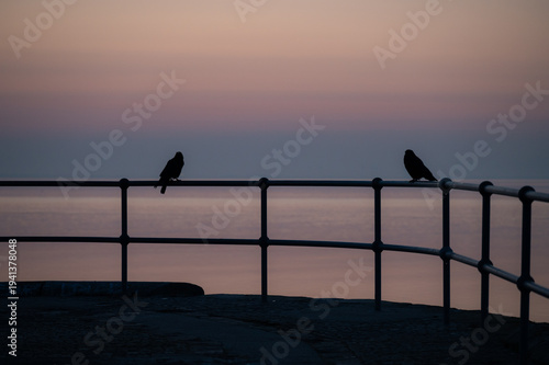 Two crows sit on a railing at sunrise, silhouetted scene by the sea, view of the North Sea or Jade Bay in the morning at the cross-range light, Alte Mole in 26382 Wilhelmshaven, Germany