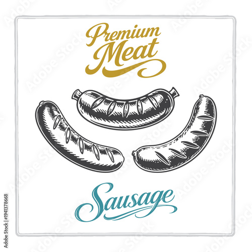 Sausage illustration set featuring three different sausages with premium meat lettering in vintage engraving style. Hand drawn meat design for butcher branding, menus, labels and packaging. Part of se