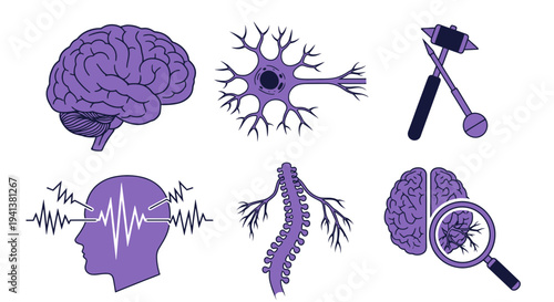 Six purple icons related to the nervous system and neurological examination