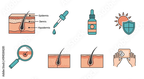 Icons illustrating skin layers topical application sun protection and hair follicle condition