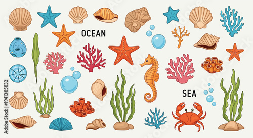 Large collection of sea creatures and ocean elements including shells, coral, seahorse, crab, and seaweed for nature design.