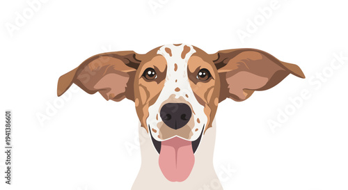 Frontal view illustration of a happy brown and white spotted dog with very large ears and its tongue sticking out.