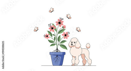 Illustration of a groomed white poodle dog standing next to a potted plant with pink flowers and flying butterflies on white.