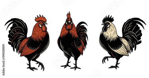 Colorful vector illustration of three stylized roosters in profile view