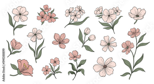Set of delicate hand-drawn pink flowers and green leaves in a vintage botanical style isolated on a plain white background for design.