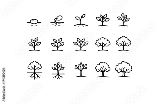 Treelet growth stages. Line icon set of Treelet growth stages: planted seed, sprouting seed, emerging shoot, young sapling, leafing sapling, branching sapling,