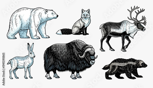 Collection of Arctic Animals Illustrations on White Background