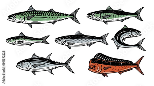 Vector illustration of various fish species in detailed style