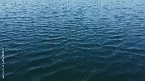 Calm blue water surface with gentle ripples reflecting sunlight, creating a serene aquatic scene in a natural outdoor environment