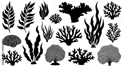 Black Silhouette Coral Reef Elements and Seaweed Collection