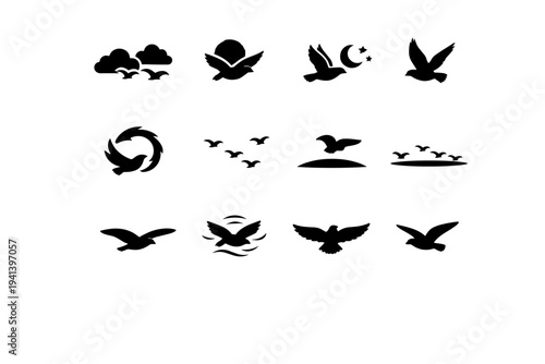 Birds in the Sky. Solid icon set of Birds in the Sky: birds against clouds, bird near sun, bird near moon, high altitude bird, circling bird, distant sky