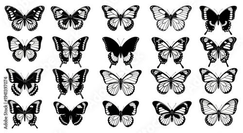 Collection of Black and White Butterfly Silhouettes Isolated on White Background