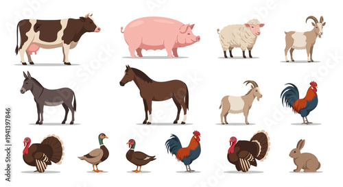 Farm animals illustration cow pig sheep goat donkey horse rooster and more