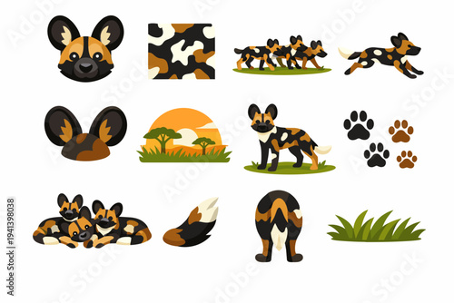 AfricanWildDogs. Colorful flat vector icons set of AfricanWildDogs: african wild dog face, painted dog pattern, pack walking, running chase pose, large round