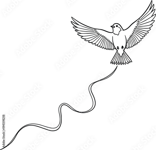 A bird in flight with a long trailing line