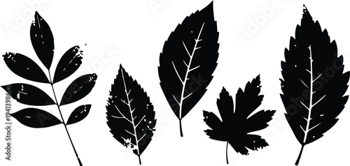 Black leaf silhouette vector design with distinct shapes, white background, nature art