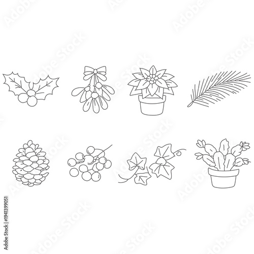 Christmas holly mistletoe poinsettia pinecone ivy