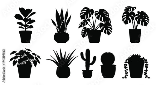 Collection of potted indoor plants depicted in stark black silhouette