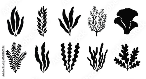 Collection of botanical plant shapes in a striking black silhouette