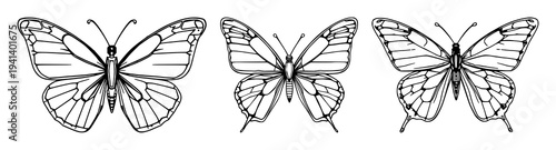 Cybernetic butterfly set with symmetrical line art and mechanical wing details featuring modern tech-nature style, innovation with artificial intelligence and electronics