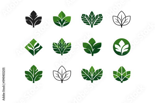 tropical rainforest. Icon set. Set Logo of tropical rainforest: tropical leaf. harmonious logo variations of the same emblematic concept, each with different