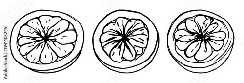 Passion fruit set with realistic graphic and minimalist art style featuring tropical fruit, exotic food, healthy eating with seeds and pulp detail