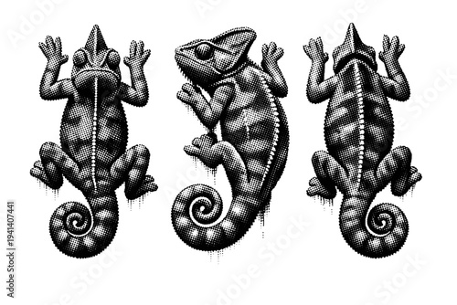 Veiled chameleon climbing pose A realistic veiled chameleon in a climbing posture shown as a single object in three views: front climbing view, side climbing