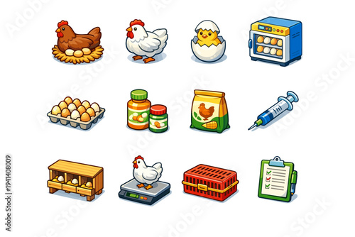 Chicken Farming. Colorful isometric vector icons set of Chicken Farming: laying hen, broiler chicken, chick hatchling, incubator machine, egg tray, poultry