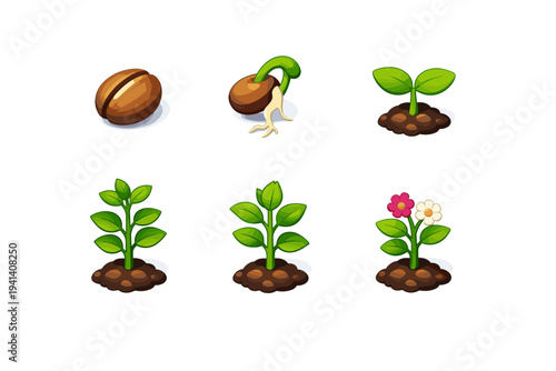 Plant Growth Stages. Isometric flat vector icons set of Plant Growth Stages: dry seed capsule, sprouting seed with root, two-leaf seedling, young plant with