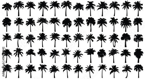 Diverse Palm Tree Silhouettes Collection whisk illustration