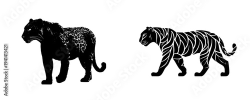 The Silent Guardian of the Jungle: The Black Leopard's Vigil