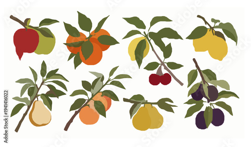 Fruit tree branch vector set with apple orange cherry and pear branches