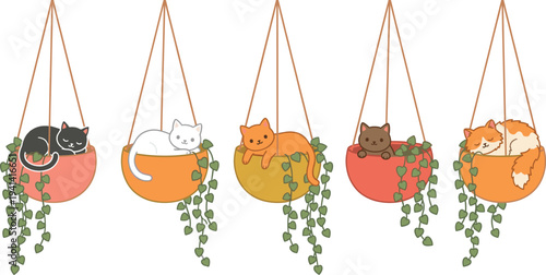 Cute cats sleeping in hanging plant pots, adorable kitten cartoon collection with greenery, cozy home decor vector illustration