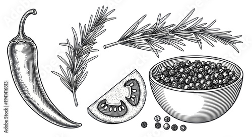 Hand-drawn chili pepper, rosemary, tomato slice, and peppercorns in bowl illustration
